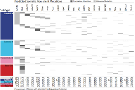 A Comprehensive Atlas Of Breast Cancer Genomes