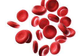 Maybe you would like to learn more about one of these? Polycythemia Atau Terlalu Banyak Sel Darah Merah
