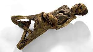 Siegsdorf: Ausstellung „Mumien – Archive des Lebens“ im Naturkunde- und  Mammut-Museum