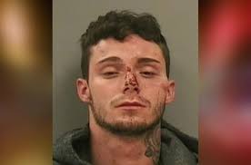 Levi Mann's Instagram, Twitter & Facebook