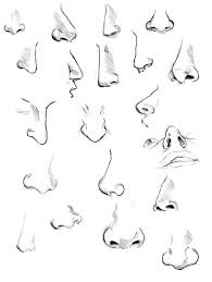 Tumblr Mh1411lpfe1r1p50po1 500 Jpg 500 664 Pixels Nose Drawing Sketch Nose Drawings
