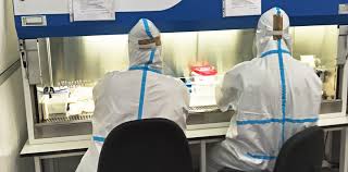 Find out more dreaming of vacations? Covid Testing Centre Faculdade De Ciencias Da Universidade De Lisboa