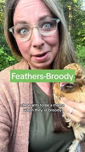 Broody hens are fine until they aren’t! They will with hold droppings and  only eat a little to be about to stay