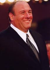 James gandolfini zero dark thirty. James Gandolfini Wikipedia