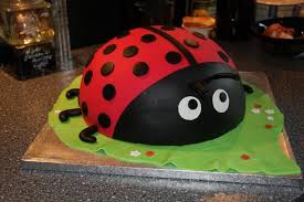 Vom kuchen 1 deckel (3 cm dick) abschneiden. Marienkafer Torte Motivtorten Fotos Forum Marienkafer Kuchen Kuchen Kindergeburtstag Torte Kindergeburtstag Tiere