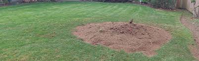 Oct 11, 2018 · how long it takes to grind your tree stump will depend on its size, soil and species. What To Do After Stump Grinding