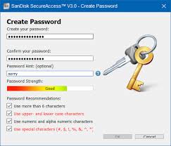 A 16g sandisk and a 16g datatraveler. What Is Sandisk Secure Access And How To Use It