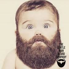 The Gentle Man Beard Company