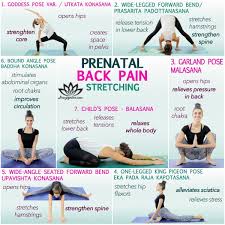 Pin On Back Pain
