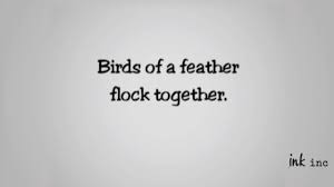 Birds Of A Feather Flock Together Song Birds Of A Feather Flock Together Youtube