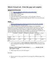 The sister chromatids are moving apart. Mitosis Virtual Lab Docx Mitosis Virtual Lab U2013 Print This Page And Complete Cell Division In Onion Root Tip Part One 1 Go To Course Hero