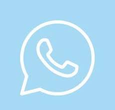 When i go into app store it shows as a purchased item with an open button. Whatsapp Icon Aesthetic For Iphone In Ios 14 My Blog