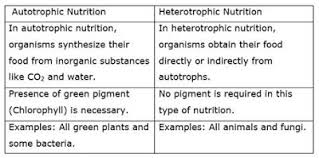 Life Process Lakhmir Singh Manjit Kaur Solutions Pg No 25 Class 10 Biology
