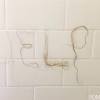 Wondering why your hair keeps falling out? 1