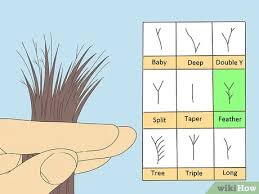 If you have a lot of split ends. How To Detect Split Ends 11 Steps With Pictures Wikihow