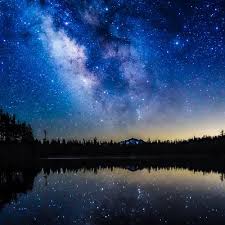 Shari Lark Martin Obituary (2024)