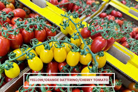 Image result for tomato Piccadilly