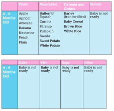 4 6 Month Food Chart Chart For Baby Food Baby Recipes