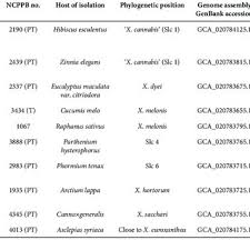 Rana Muhammad Fraz Hussain's research works