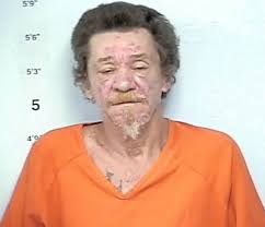 Bone fragments found in Ripley County, 2 charged with murder