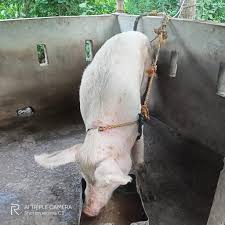 for sale: car wash vendo machine all set na 12k nalang!!