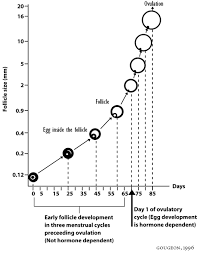 Beating Your Biological Clock How It Works The