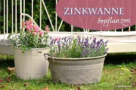 Liter fassungsvermögen und dem schriftzug cold drinks. Zinkwanne Bepflanzen 10 Blumen Und Krauter Ideen Zur Drainage