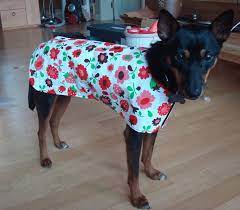 Snowsuits and raincoats with attached boots and snood. Ready For The Rain Diy Dog Raincoat Diy Dog Stuff Diy Dog Bag Dog Raincoat