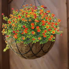 Check spelling or type a new query. Buy 8pcs Artificial Fake Outdoor Plants Flowers Uv Resistant Faux Flowers Indoor Outside For Decoration Hanging Planter Wedding Garden Patio Office Home Decor Online In Vietnam B095m919hb