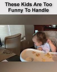 funny dog baby laughs cuteanimals funny dog baby laugh playtime funny dogs baby dogs cute funny animals