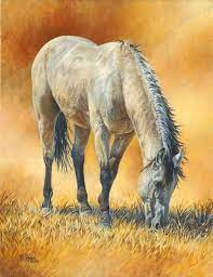 Paint horses for sale in california post free ad advanced search: Pin On Art Horses