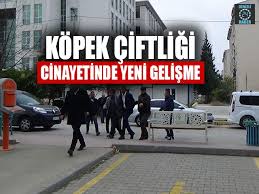 Kopek Ciftligi Cinayetinde Yeni Gelisme