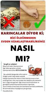 Eğer ufak bir evde minik dostunuzla birlikte yaşıyorsanız, eminizki yaşadığınız en büyük sorun kokudur. Puf Noktalari