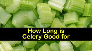 How Long Is Celery Good For