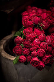Red With Romance Flowers Red Roses Love Flowers