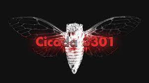 Cicada 3301 is a nickname given to an organization that, on three occasions, has posted a set of puzzles to recruit codebreakers from the public. Cicada 3301 An Internet Mystery Youtube