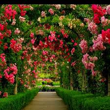 Pin By Tony Mauk On Flowers Beautiful Home Gardens Beautiful Gardens Dream Garden