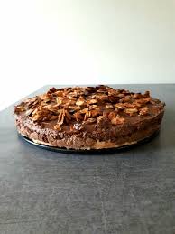 Dacquoise 2 Blancs D Oeuf 50g Poudre D Amande 50g Sucre Glace 15g Sucre Semoule 1 Pincee De Sel Passer Feuille De Cuisson Chocolat Praline Poudre Amande