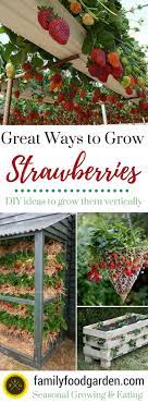 Best Way To Grow Strawberries In Containers 2020 Family Food Garden Growing Strawberries In Containers Strawberries In Containers Growing Strawberries Vertically