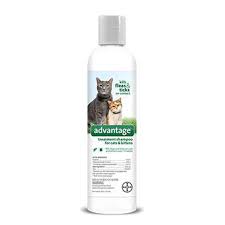 Advantage Flea And Tick Treatment Shampoo For Cats And Kittens 8 Oz Walmart Com