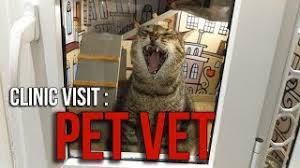 We did not find results for: Clinic Visit Pet Vet Animal Clinic Youtube