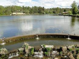 Ab dem 23.05.2021 kann man unter bedingungen ins kühle nass eintauchen. Stadtsee Allentsteig Angeln Und Fischen