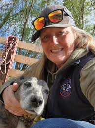 Horse training progress at liberty camp with mustangs