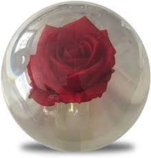 Huge selection · up to 70% off Amazon Com Kr Clear Red Rose Bowling Ball 14lbs Sports Outdoors