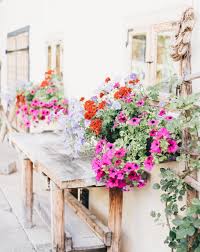 Bringt euren balkon zum blühen! Geranien Kombinieren Stylish Und Modern Balkonrosen Blog