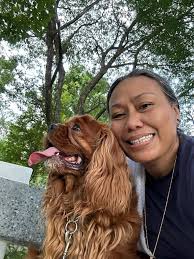 Creative home security solution using a skinny rod