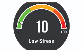 Cerca nel più grande indice di testi integrali mai esistito. Forerunner 735xt Viewing Your Stress Score