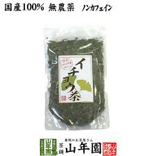 Dショッピング 国産 100 イチョウ茶 イチョウ葉 70g 無農薬 ノンカフェイン 送料無料 宮崎県産 銀杏茶 いちょう茶 イチョウ葉茶 イチョウ葉エキス サプリメント 妊婦 ダイエット 贈り物 ギフト プレゼント バレンタインデー 2021 プチギフト お茶 内祝い お返し