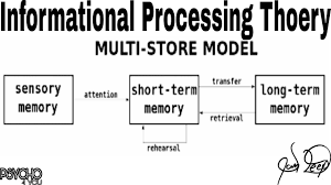 Ap Psychology Study Resource Information Processing Theory