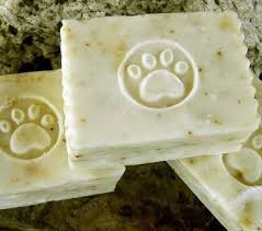 Is Your Cat S Shampoo Poisonous Cat Shampoo Organic Honey Safe Shampoo